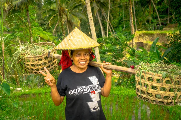 Bali, Indonesien - 05 April 2017: Kvinnor gå på risfälten bär en ris-hatt och håller med händerna en pinne med två korgar i varje sida i Ubud, Bali, Indonesien — Stockfoto