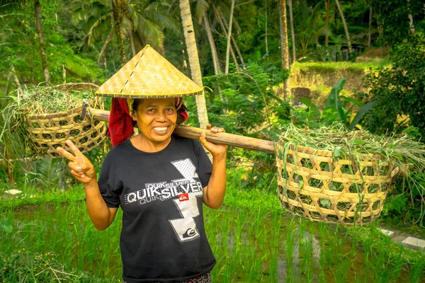 BALI, INDONESIA - 05 APRILE 2017: Le donne camminano nelle risaie indossando un cappello di riso e tenendo con le mani un bastone con due cestini per lato a Ubud, Bali, Indonesia — Foto Stock