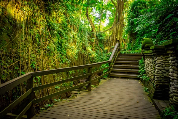 Dragon brug bij Ubud Sacred Monkey Forest Sanctuary, een natuurreservaat en Hindoeïstische tempel complex in Ubud, Bali, Indonesië — Stockfoto