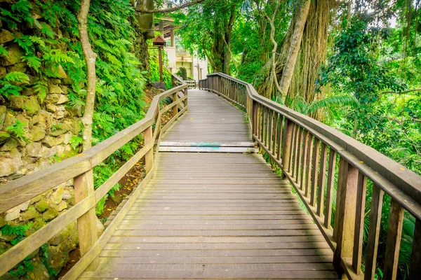 Ponte Dragão no Santuário da Floresta do Macaco Sagrado de Ubud, uma reserva natural e complexo de templos hindus em Ubud, Bali, Indonésia — Fotografia de Stock