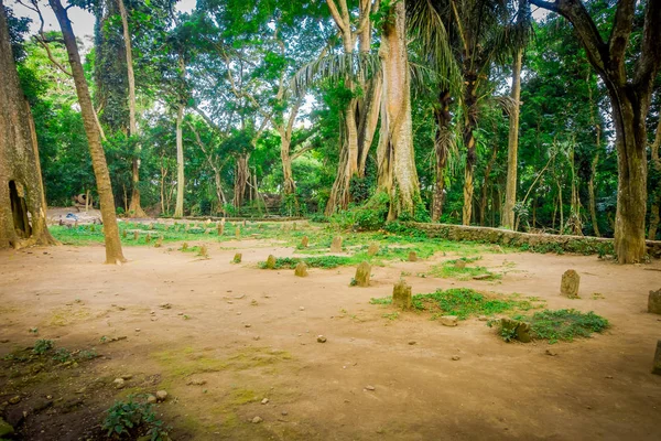 Maymun orman sığınak, bir doğa rezerv ve Hindu tapınağı Ubud, Bali, Endonezya karmaşık mezar taşları — Stok fotoğraf