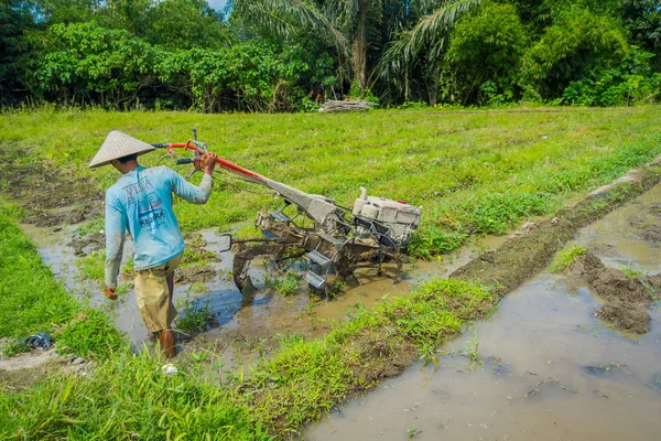BALI, INDONESIA - 05 DE ABRIL DE 2017: El agricultor limpia la zona para plantar algunas semillas de arroz en una tierra inundada en terrazas, Ubud, Bali, Indonesia — Foto de Stock