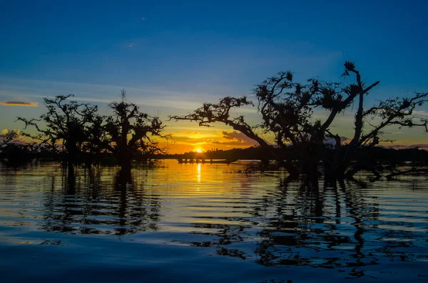 Árboles siluetas contra un cielo anaranjado al atardecer sobre Laguna Grande en el Parque Nacional Reserva Natural Cuyabeno, en Ecuador — Foto de Stock