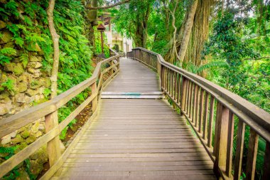 Ubud kutsal maymun orman sığınak, bir doğa rezerv ve Hindu tapınağı Ubud, Bali, Endonezya karmaşık Dragon Köprüsü