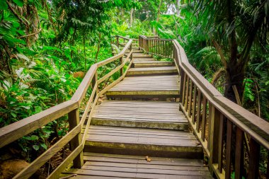 Dragon bridge at Ubud Sacred Monkey Forest Sanctuary, a nature reserve and Hindu temple complex in Ubud, Bali, Indonesia clipart