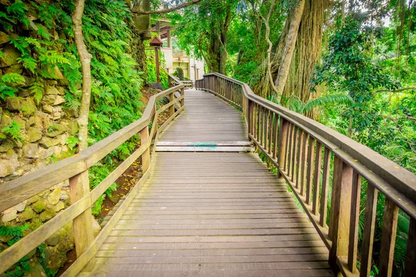 Puente del Dragón en Ubud Sacred Monkey Forest Sanctuary, una reserva natural y complejo de templos hindúes en Ubud, Bali, Indonesia — Foto de Stock