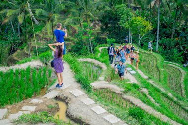 Bali, Endonezya - 05 Nisan 2017: güzel manzara ile yeşil pirinç terasları Tegallalang Köyü, Ubud, Bali, Endonezya yakınındaki zevk Tanımlanamayan kişi