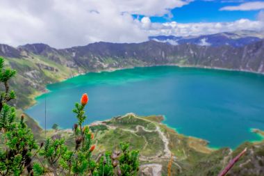 Güzel and bitki chuquiragua, arkadaki Quilotoa caldera gölün muhteşem bir manzarasına sahip. Quilotoa Batı yanardağ Andes aralığında olup Ekvator and bölgesinde bulunan