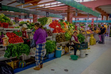 Quito, Ekvator - 23 Kasım 2016: gıda, sebze ve meyve Saint Francis içinde yer alan Belediye pazarında satın alma kimliği belirsiz kişi