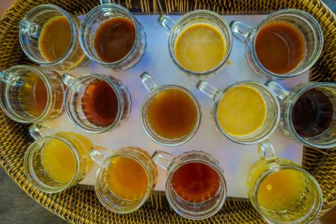 Kopi Luwak kahve ve çay, Endonezya, Bali Adası görünümü üzerinde test