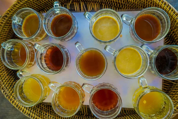 Kopi Luwak kaffe och te provning, i ön Bali i Indonesien, ovanför vyn — Stockfoto