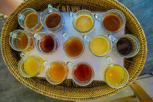 Kopi Luwak káva a čaj v ostrově Bali v Indonésii, testování nad zobrazením — Stock fotografie