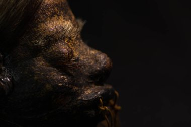 Ekvador shrunked insan head karanlık bir arka plan üzerinde yarım yüz yakın çekim