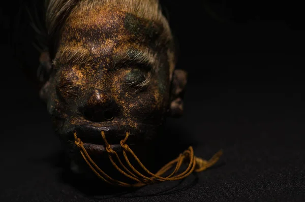 Uma cabeça humana encolhida do equador sobre um fundo escuro — Fotografia de Stock
