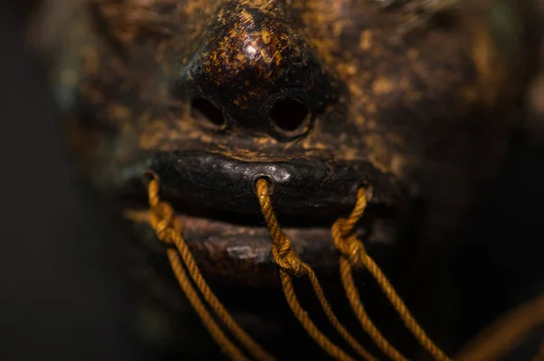 Close up van de monding van een menselijk hoofd van de shrunked uit ecuador over een donkere achtergrond — Stockfoto