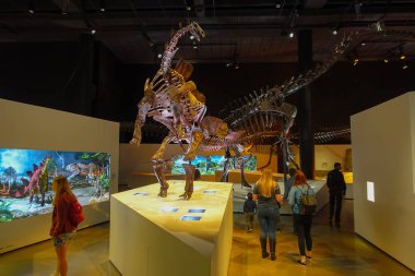 Houston, Amerika Birleşik Devletleri - 12 Ocak 2017: Fosil dinozor stegosaurus Fuar içinde Ulusal Müzesi, Doğa Bilimleri ABD, Orlando Houston'da bir siyah arka plan