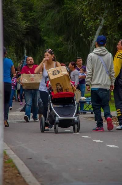 Quito, Ekvator - Nisan, 17, 2016: Afet Yardım gıda, giyim, ilaç ve su kıyılarında deprem kurtulanlar için sağlayan kimliği belirsiz kişi ile bir karton kutu içinde gıda ile