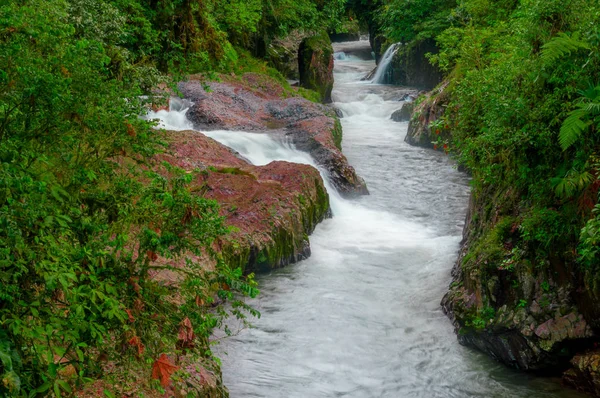 Skogens vilda flodlandskap i regionen Amazonas, forsarna strömma vatten — Stockfoto