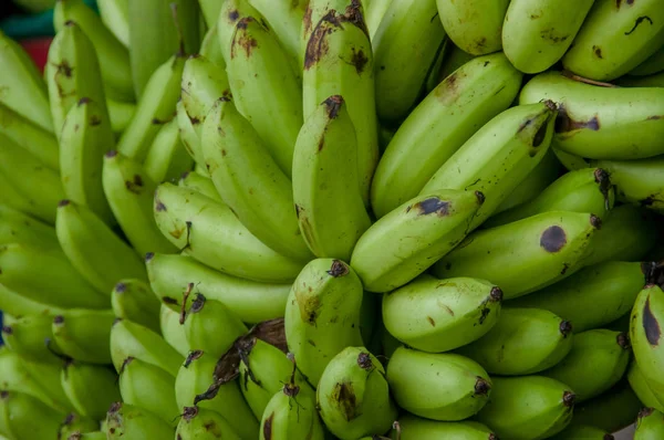 Bananas verdes para bebés. Musa é um género botânico pertencente à família Musaceae. — Fotografia de Stock