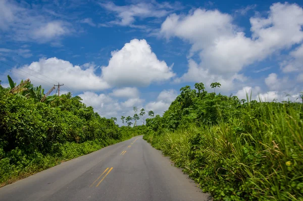 Strada asfaltata nella costa, circondata da abbondante vegetazione in una giornata di sole nelle coste ecuadoriane — Foto Stock