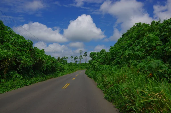 Strada asfaltata nella costa, circondata da abbondante vegetazione in una giornata di sole nelle coste ecuadoriane — Foto Stock