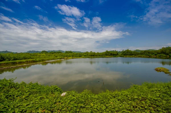 Lago na costa do Mesmo, rodeado de vegetação abundante em um dia ensolarado nas costas equatorianas — Fotografia de Stock