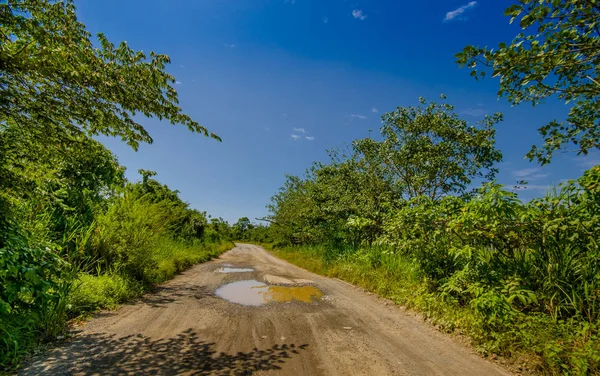 Strada asfaltata rocciosa nella costa, circondata da abbondante vegetazione in una giornata di sole nelle coste ecuadoriane — Foto Stock