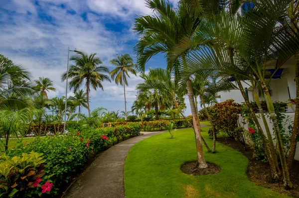 Aynı Ekvador daki lüks otel içinde palmiye ağaçları ile yürüme yolu — Stok fotoğraf