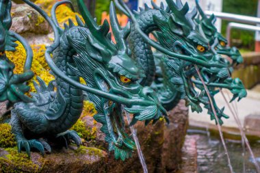Hakone, Japonya - 02 Temmuz 2017: Japonya'da bronz bir ejderha ile bir çeşmenin kapat