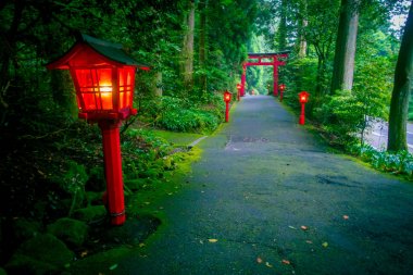 Hakone tapınak bir sedir orman içinde yaklaşmak gece manzarası. Işıklı birçok kırmızı fener ve bir büyük kırmızı yakın kapı ile
