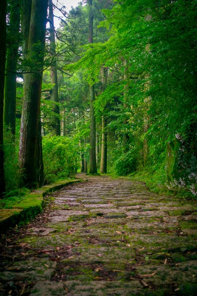 Uma entrada apedrejada do santuário de Hakone, na floresta em um dia ensolarado em Kyoto, Japão — Fotografia de Stock