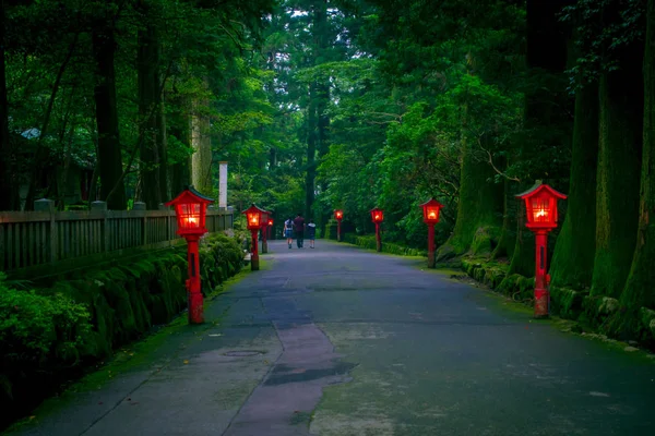 La vue de nuit de l'approche du sanctuaire Hakone dans une forêt de cèdres. Avec beaucoup de lanterne rouge illuminée — Photo