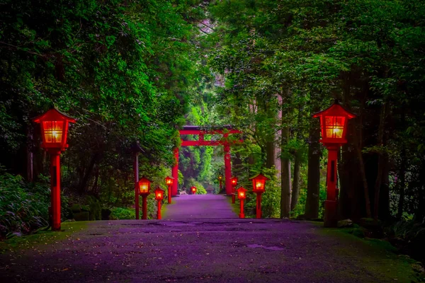 La vista nocturna del acercamiento al santuario de Hakone en un bosque de cedro. Con muchas linternas rojas iluminadas y una gran puerta torii roja — Foto de Stock