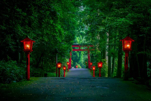 La vista nocturna del acercamiento al santuario de Hakone en un bosque de cedro. Con muchas linternas rojas iluminadas y una gran puerta torii roja —  Fotos de Stock