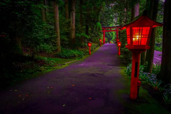 La vue de nuit de l'approche du sanctuaire Hakone dans une forêt de cèdres. Avec beaucoup de lanterne rouge éclairée et une grande porte torii rouge — Photo