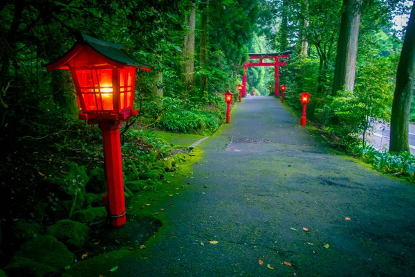 La vue de nuit de l'approche du sanctuaire Hakone dans une forêt de cèdres. Avec beaucoup de lanterne rouge éclairée et une grande porte torii rouge — Photo