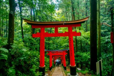 Kyoto, Japonya - 05 Temmuz 2017: Kırmızı Tori kapıda Fushimi Inari tapınak Kyoto, Japonya
