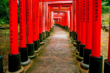 Kyoto, Japonya - 05 Temmuz 2017: Kırmızı Tori kapıda Fushimi Inari tapınak Kyoto, Japonya
