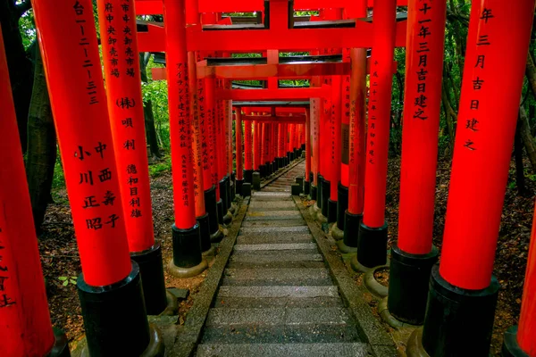 Kyoto, Japonya - 05 Temmuz 2017: Kırmızı Tori kapıda Fushimi Inari tapınak Kyoto, Japonya