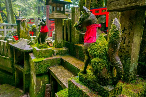 KYOTO, JAPÓN - 05 DE JULIO DE 2017: Estatua de piedra de zorro en el santuario de Fushimi Inari Templo de Fushimi Inari Taisha en Japón —  Fotos de Stock