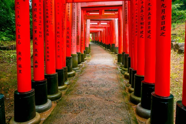 Kyoto, Japonya - 05 Temmuz 2017: Kırmızı Tori kapıda Fushimi Inari tapınak Kyoto, Japonya