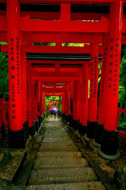 Kyoto, Japonya - 05 Temmuz 2017: Kırmızı Tori kapıda Fushimi Inari tapınak Kyoto, Japonya