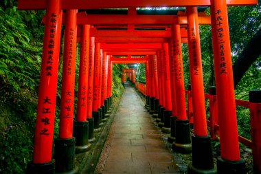 Kyoto, Japonya - 05 Temmuz 2017: Kırmızı Tori kapıda Fushimi Inari tapınak Kyoto, Japonya