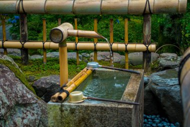 Kyoto, Japonya - 05 Temmuz 2017: Tenryu-ji Tapınağı, Kyoto, muhteşem küçük gölet