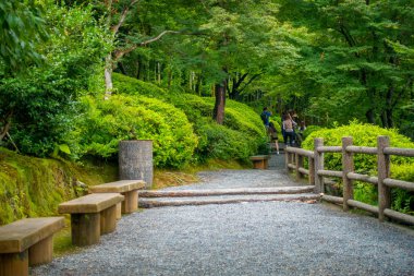 Zen Bahçe, Tenryu-ji, göksel Dragon Tapınağı. Kyoto, Japonya