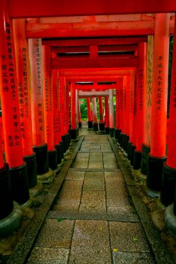 Kyoto, Japonya - 05 Temmuz 2017: Kırmızı Tori kapıda Fushimi Inari tapınak Kyoto, Japonya