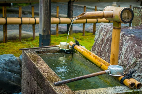 КЁТО, Япония - 05 июля 2017 года: Великолепный маленький пруд в храме Тенрю-дзи в Киото — стоковое фото