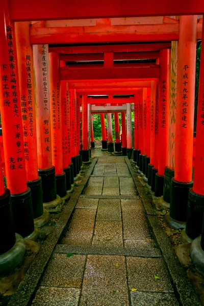 Kyoto, Japonia - 05 lipca 2017: Tori czerwona brama Fushimi Inari sanktuarium w Kioto, Japonia — Zdjęcie stockowe