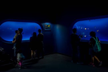 Osaka, Japonya - 18 Temmuz 2017: fotoğraf çekmek ve deniz yaratıkları, Japonya'nın Osaka Osaka akvaryum Kaiyukan zevk tanımlanamayan kişi