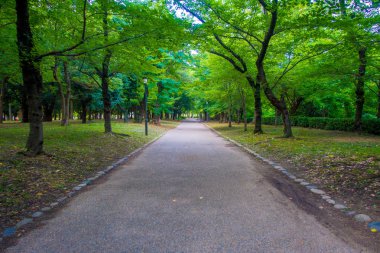 Kaldırım yol Osaka, kalenin Osaka Kalesi bir parkta Japans en ünlü yerlerinden biridir